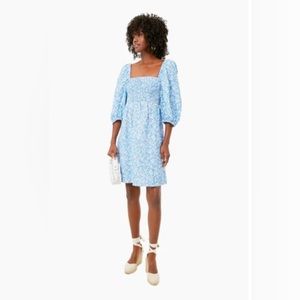 Tuckernuck Blue Dress - Large